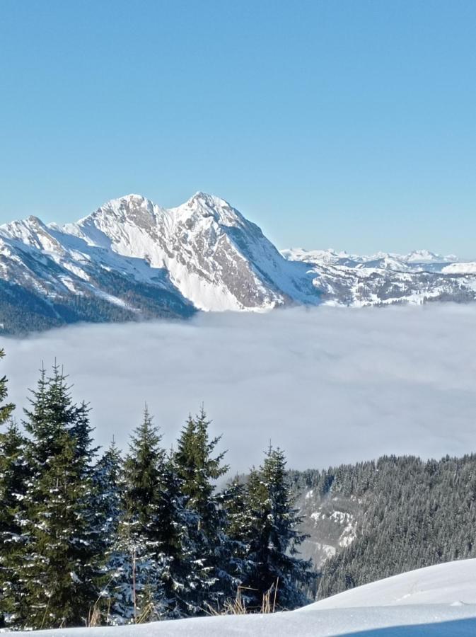 Landhaus Rosner Apartman Dorfgastein Kültér fotó